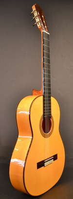 Great Barrier Reef Criticize Discharge The Classical Guitar Store ...since 1967 - Francisco Esteve